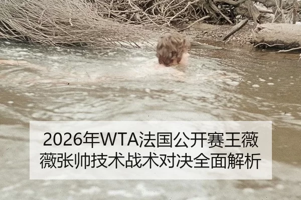 2026年WTA法国公开赛王薇薇张帅技术战术对决全面解析