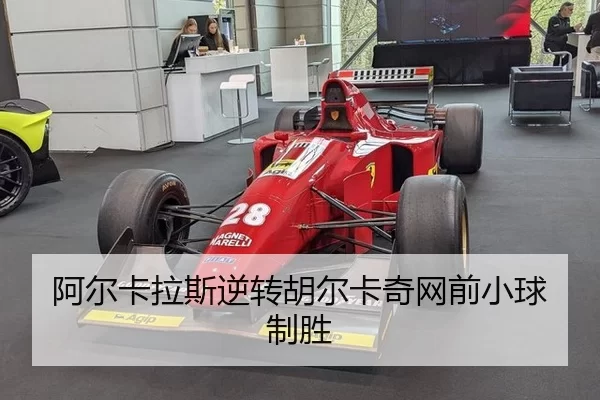 a-er-ka-la-si-ni-zhuan-hu-er-ka-qi-wang-qian-xiao-qiu-zhi-sheng-2-200.jpg